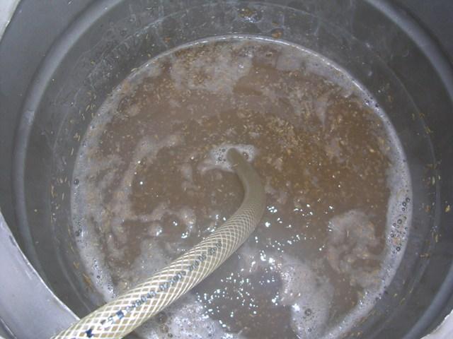 DSCN2782.JPG