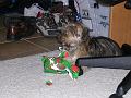 DSCN0972
