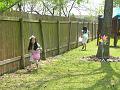 DSCN3126