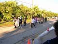 DSCN1508