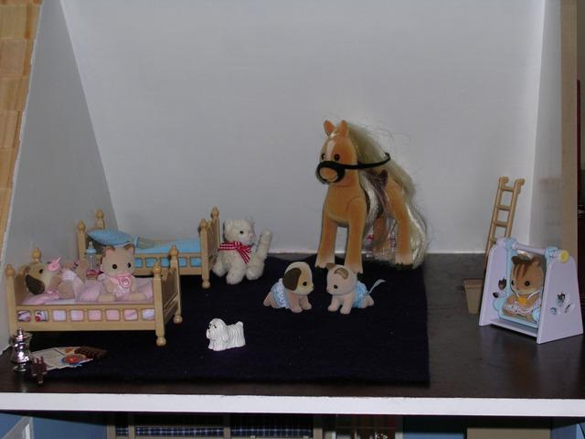 DSCN3641.JPG