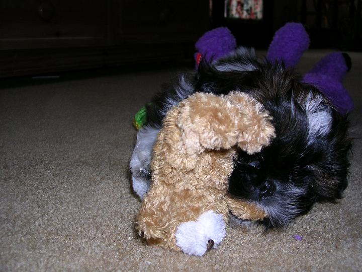 DSCN1082.JPG