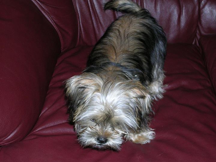 DSCN1092.JPG