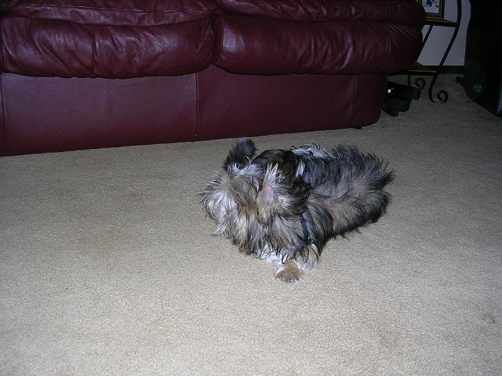 DSCN1095.JPG