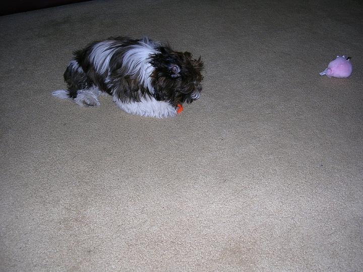 DSCN1128.JPG