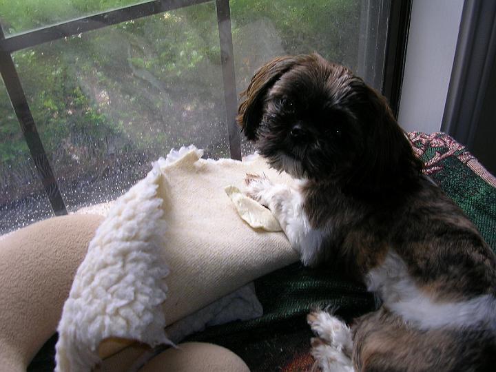 DSCN2296.JPG