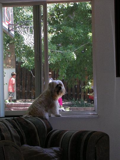DSCN3518.JPG