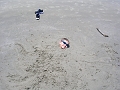 DSCN3933