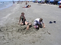 DSCN3954
