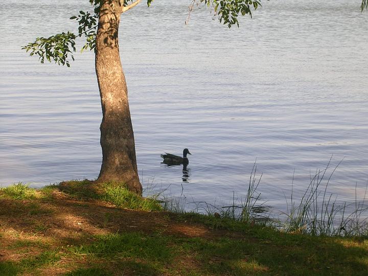 DSCN3200.JPG