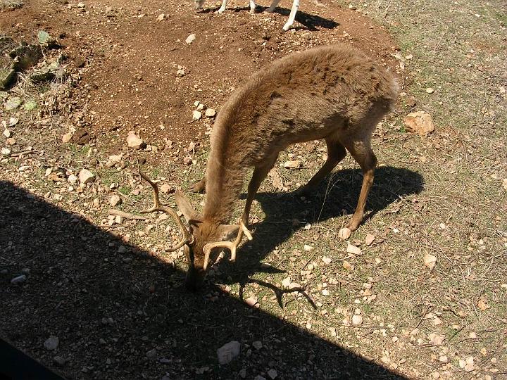 DSCN3089.JPG