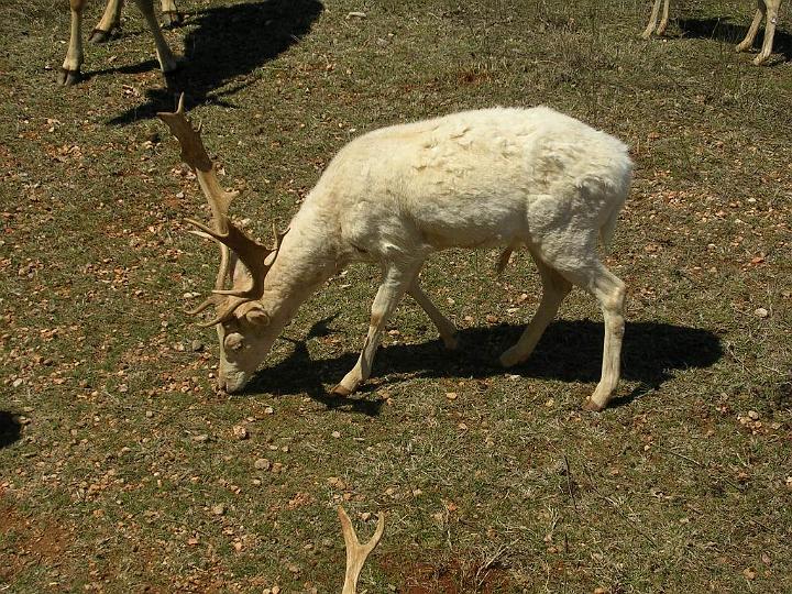 DSCN3094.JPG