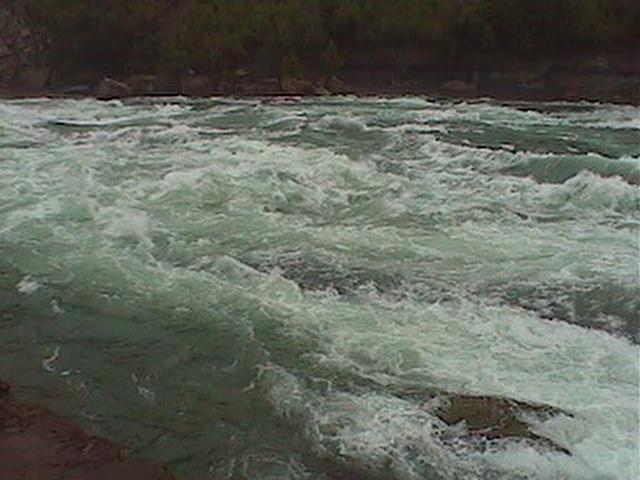 Rapids.jpg