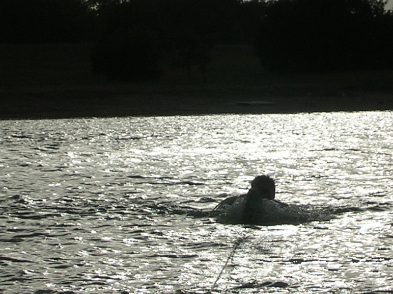 DSCN4019.JPG